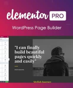 Elementor PRO WordPress Page Builder v3.28.0